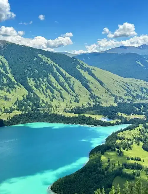 观鱼台